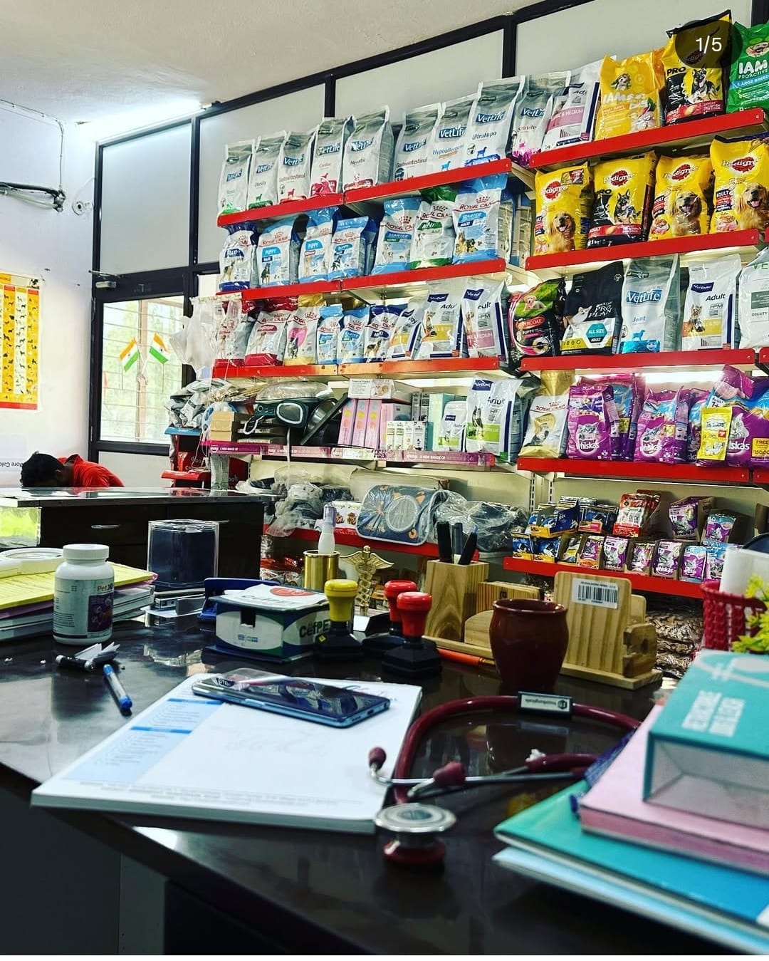 Grooming & Wellness at Vital Pet Clinic, Greater Noida