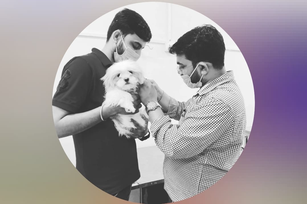 Vet caring for a pet at Vital Pet Clinic